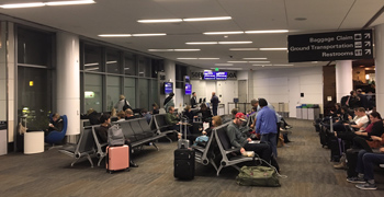 Waiting at the gate - making sure to arrive early! Thumbnail